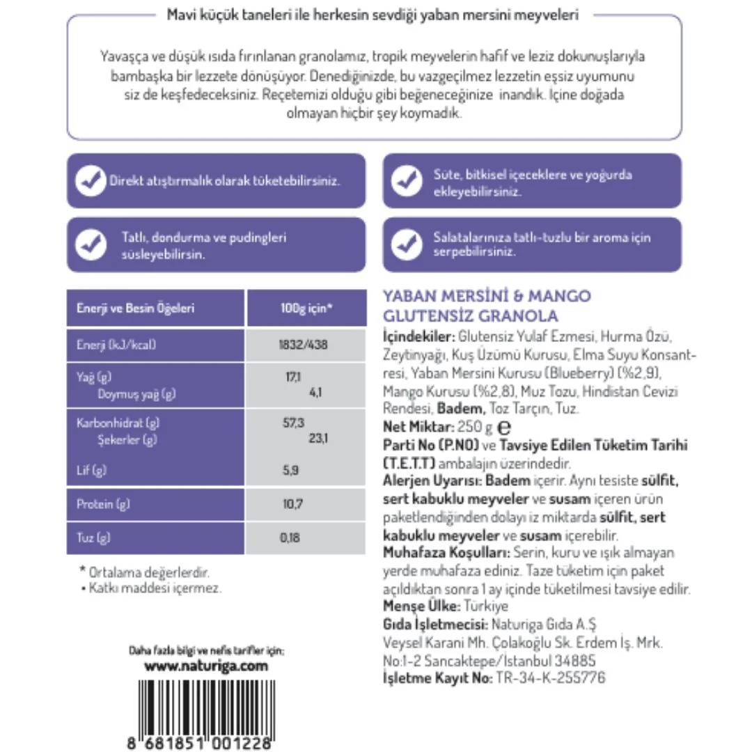 Glutensiz Yaban mersini & Mango Granola(250 gr) - Image 3
