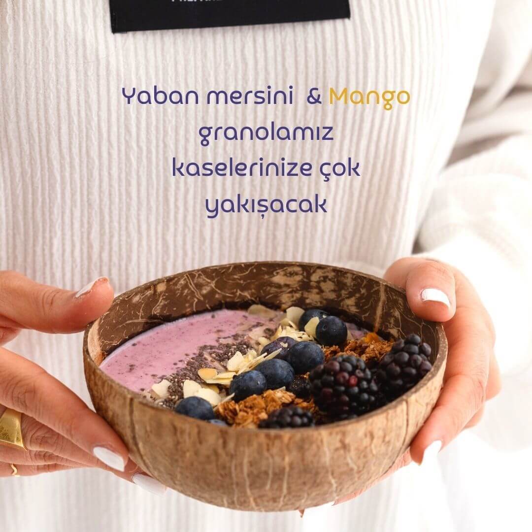 Glutensiz Yaban mersini & Mango Granola(250 gr) - Image 7