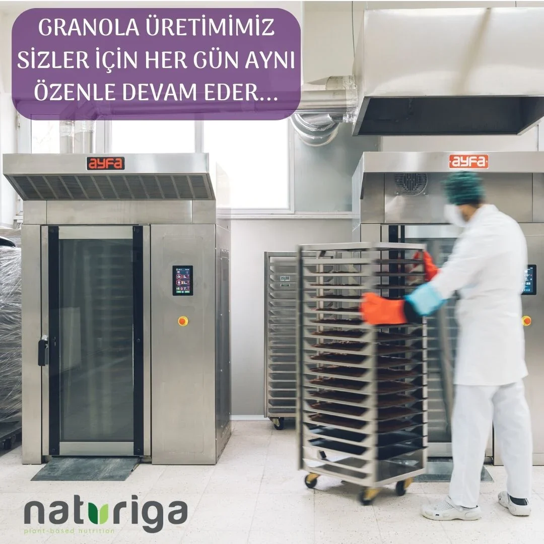 Glutensiz Yaban mersini & Mango Granola(250 gr) - Image 8