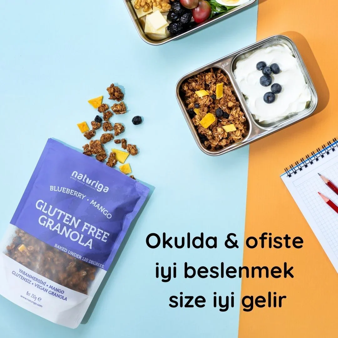 Glutensiz Yaban mersini & Mango Granola(250 gr) - Image 9