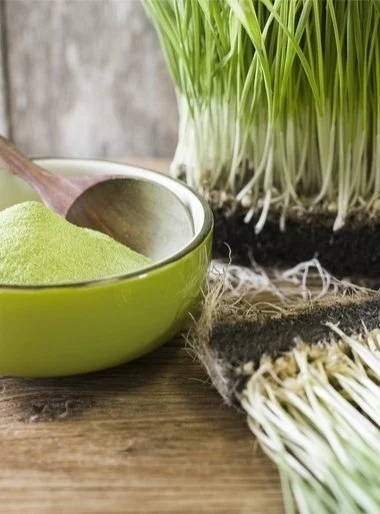 Organik Buğday Çimi Tozu (100gr) - Image 4