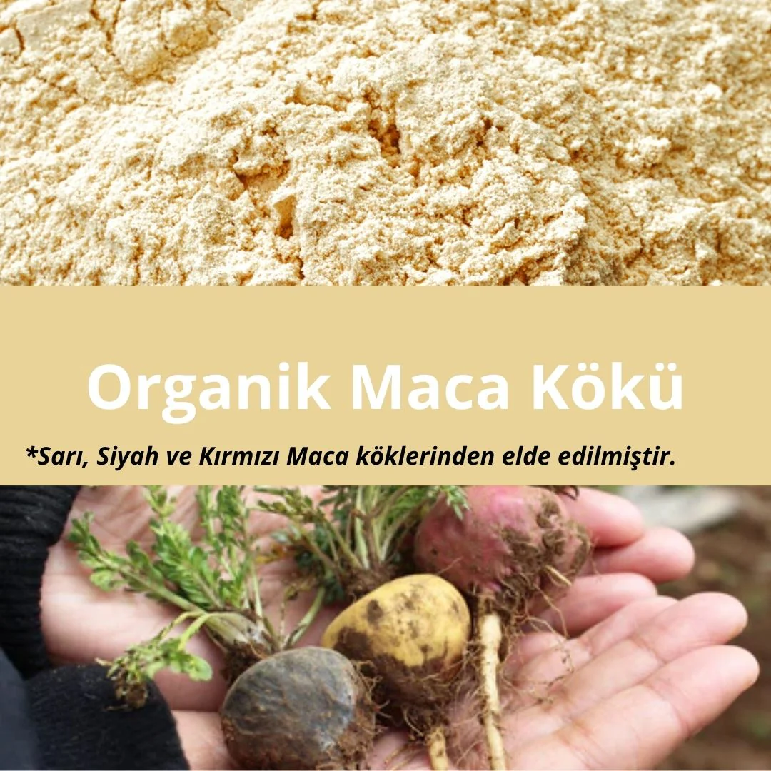 Organik Maca Kökü Tozu (100gr) - Image 6